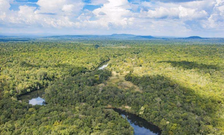 Trekking à Koh Kong & balnéaire